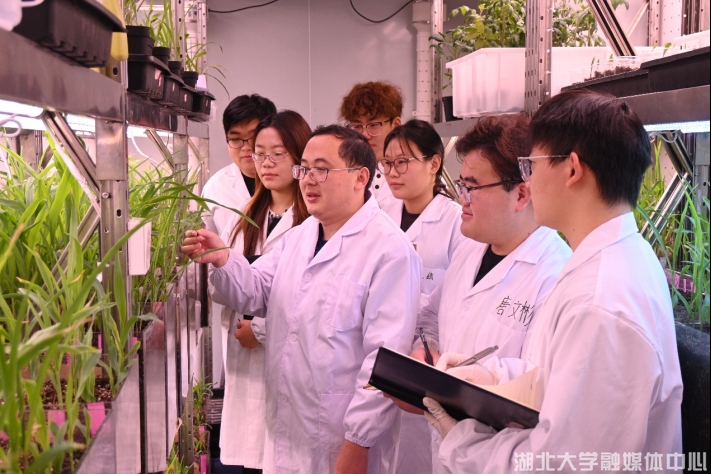突破生物基材料新紀(jì)元 湖北大學(xué)獲國家重點(diǎn)研發(fā)計(jì)劃2386萬元資助